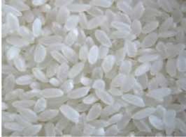 Manufacturers Exporters and Wholesale Suppliers of Ir8 White Rice Nagpur Maharashtra